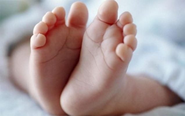 Goranboyda küçədən körpə meyiti tapıldı