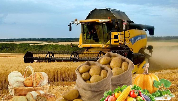 Rusiya bir ildə 70 milyon ton kənd təsərrüfatı məhsulu satıb