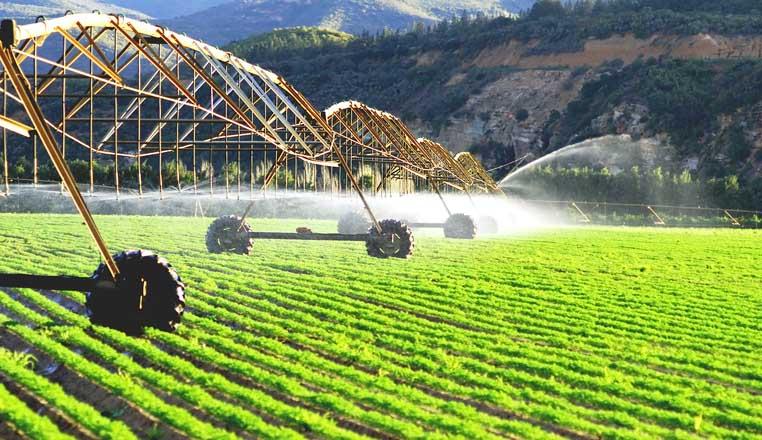 Dövlət Proqramının icrası bu il yekunlaşır: ötən il hansı tədbirlər görülüb?