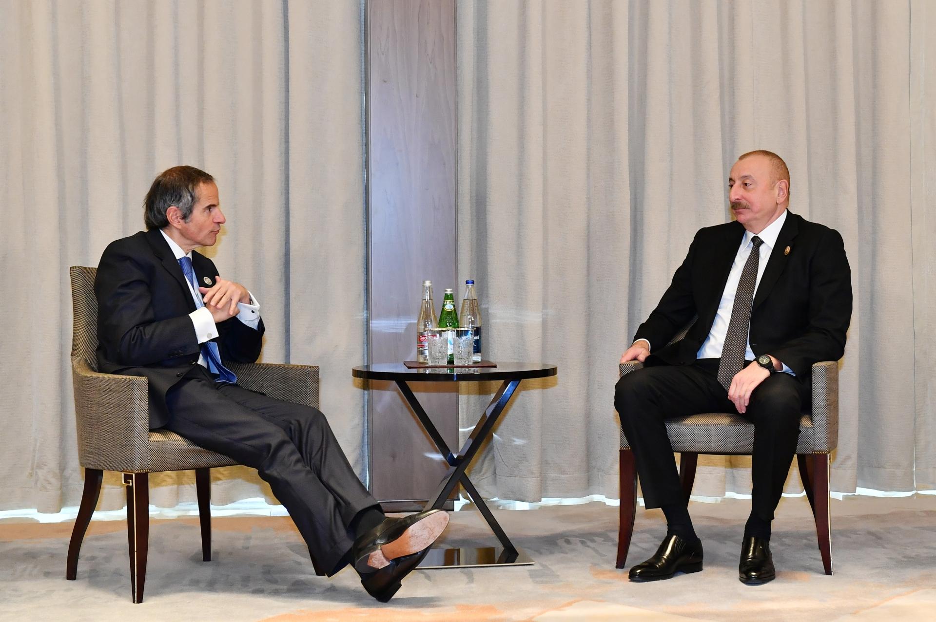 Prezident AEBA-nın Baş direktorunu qəbul etdi - FOTO