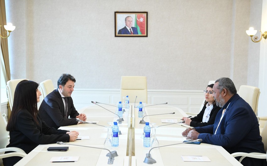 Milli Məclisin deputatları Yeni Kaledoniyanın daimi müvəkkili ilə görüşdü - FOTO