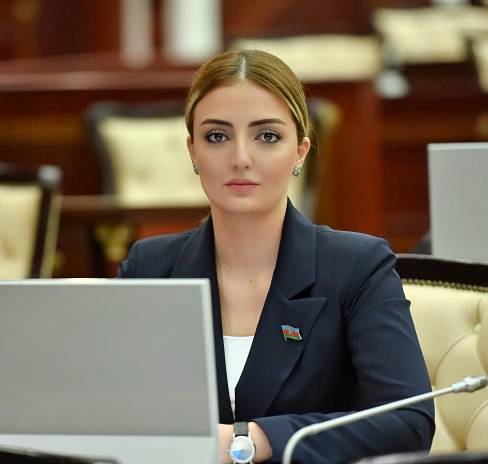 “Nəzarət-buraxılış məntəqəsi yaradılmasa, erməni təxribatları daha geniş miqyas alacaq”