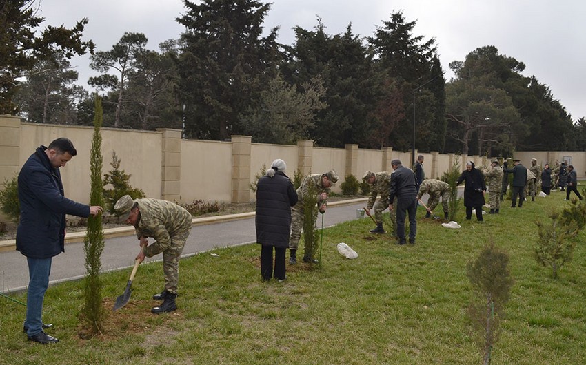 İkinci Şəhidlər xiyabanında növbəti ağacəkmə aksiyası keçirildi - FOTOLAR