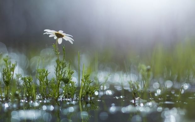 Şimşək çaxacaq, dolu düşəcək... - Hava ilə bağlı XƏBƏRDARLIQ