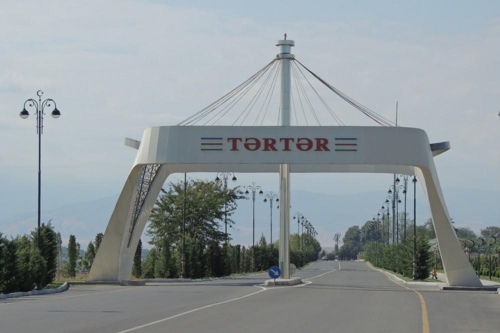 Tərtərdə kişi ov tüfəngi ilə qətlə yetirildi - RƏSMİ