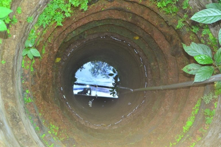 Yerin altında gizlənən sirli canlıların yeni balıq növü olduğu ortaya çıxdı - FOTO