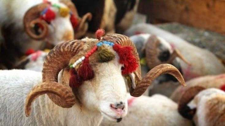 Qurban bayramında neçə gün iş olmayacaq?