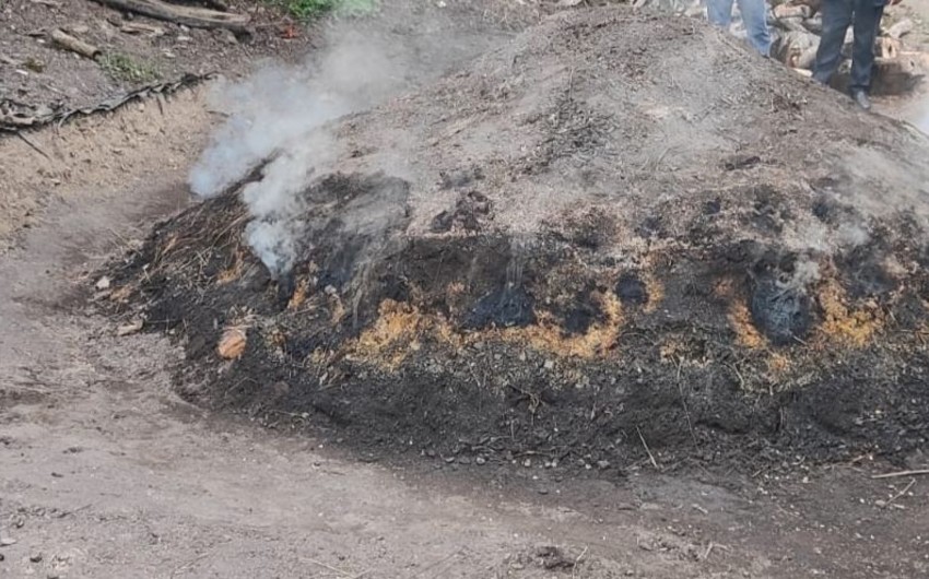 Quba, Qax, Lerik və Göygöldə kömür quyuları aşkar edildi - FOTO