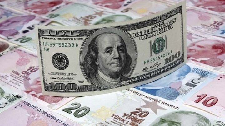 “Dollar 30 lirəyədək bahalaşa bilər” - ŞƏRH