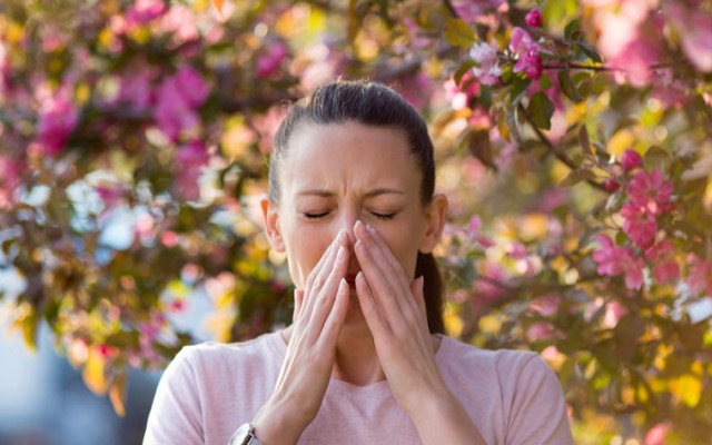 Yay allergiyalarından necə qorunmalıyıq? - Mütəxəssis TÖVSİYƏSİ