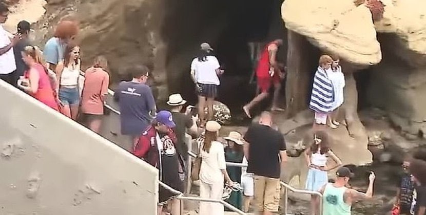 Suiti turist izdihamına hücum etdi - VİDEO