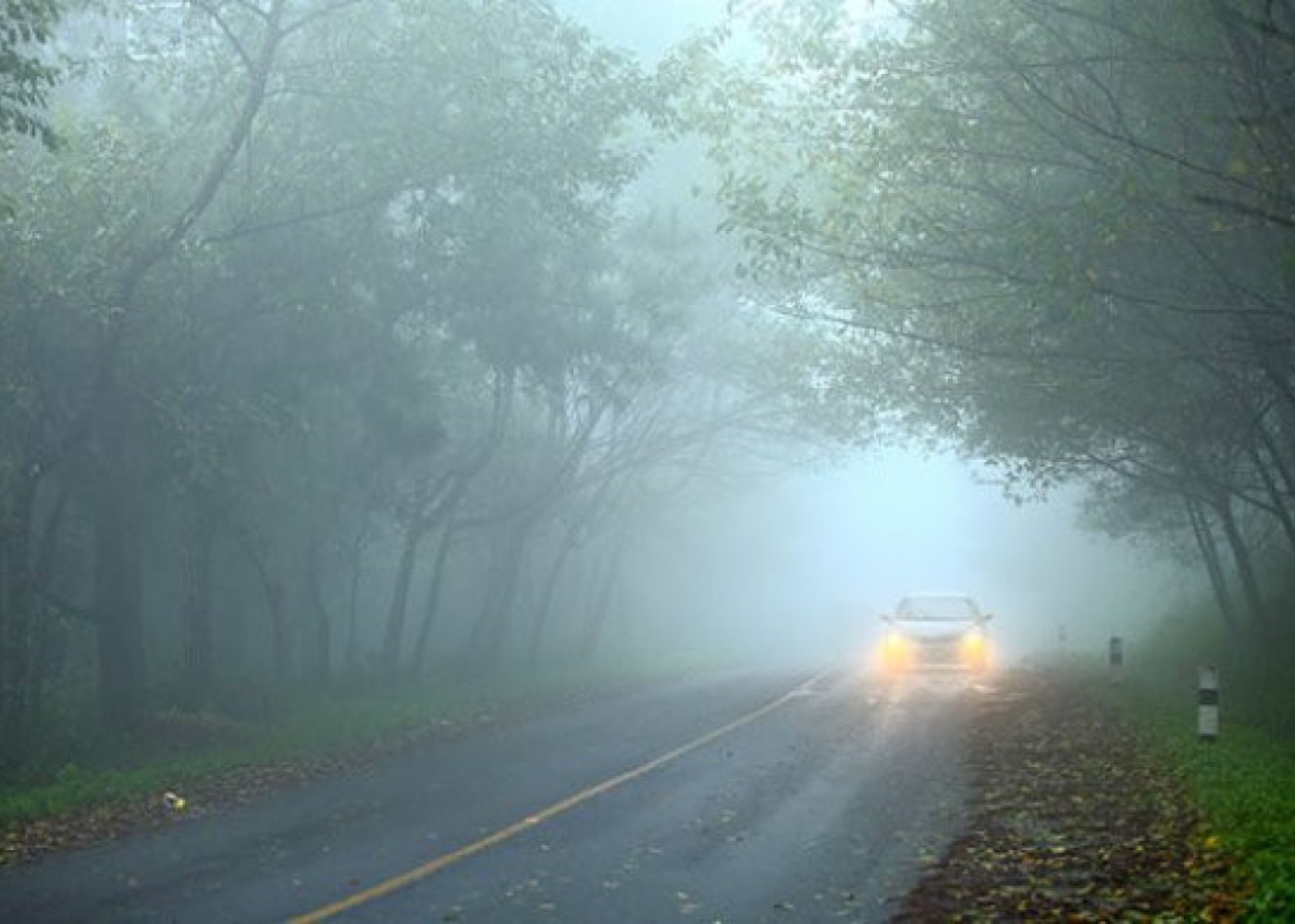 Bəzi yollar dumanlı olacaq