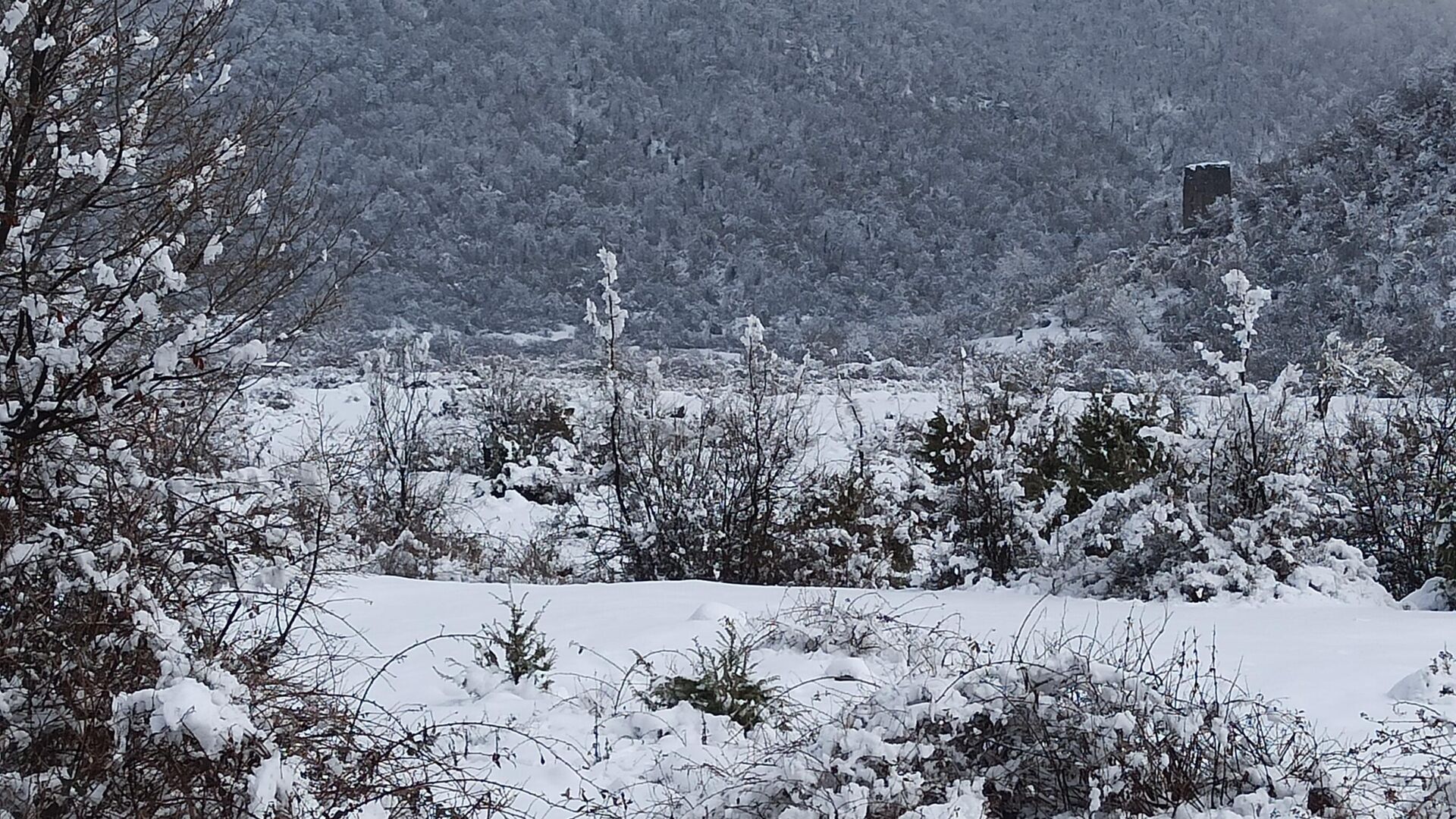 Sabah dağlıq ərazilərə qar yağacaq