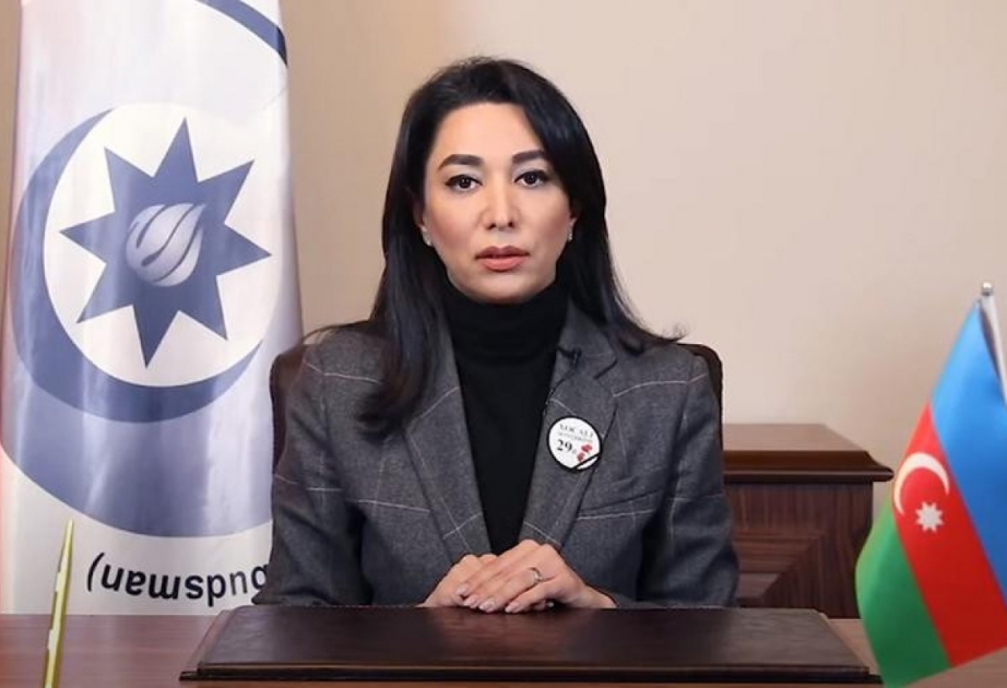 Ombudsman beynəlxalq təşkilatları ikili standartlardan əl çəkməyə çağırıb