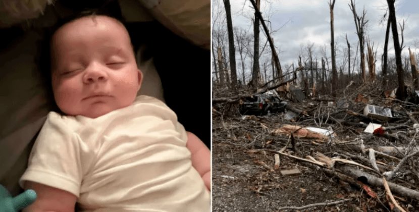 Tornadonun evdən atdığı körpə ağacın üzərində tapıldı - FOTO