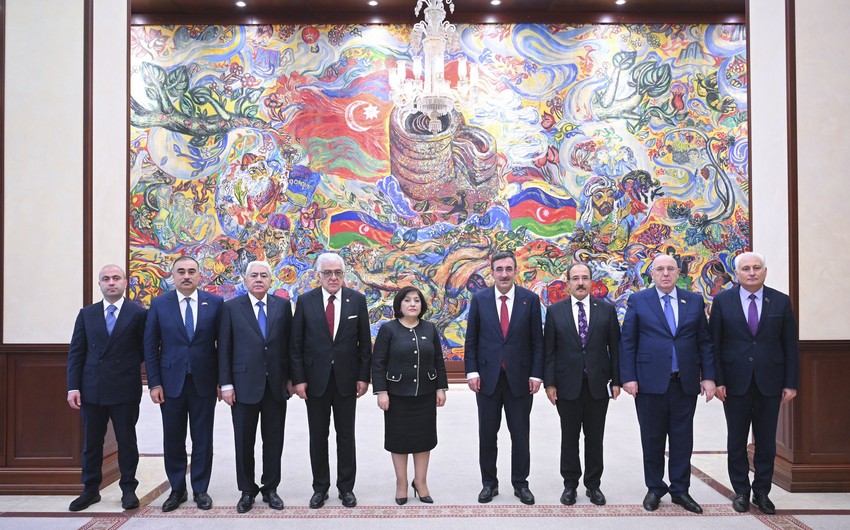 Milli Məclisin sədri Türkiyənin vitse-prezidenti ilə görüşdü - FOTO