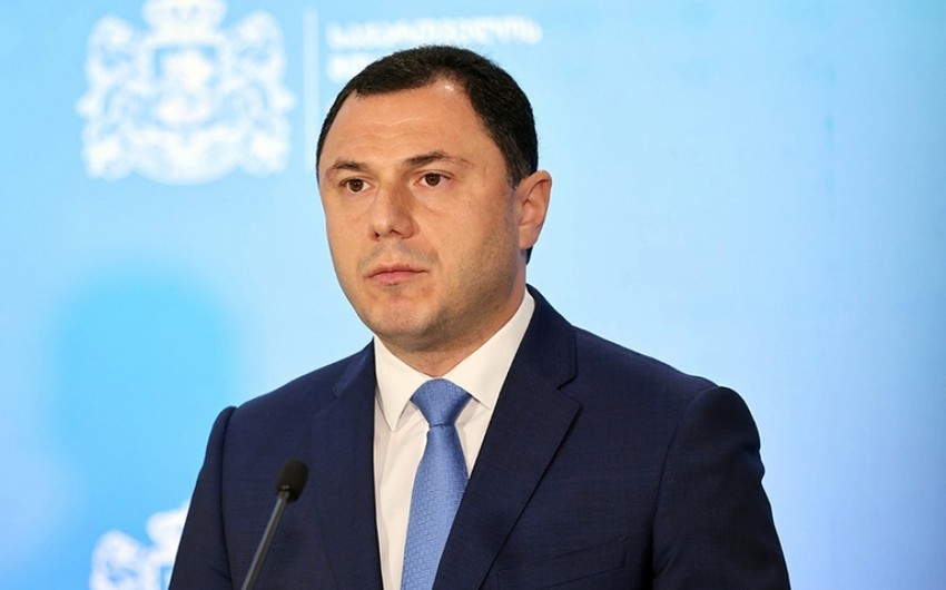 Gürcüstanın elm və təhsil naziri Azərbaycana səfərə gəldi