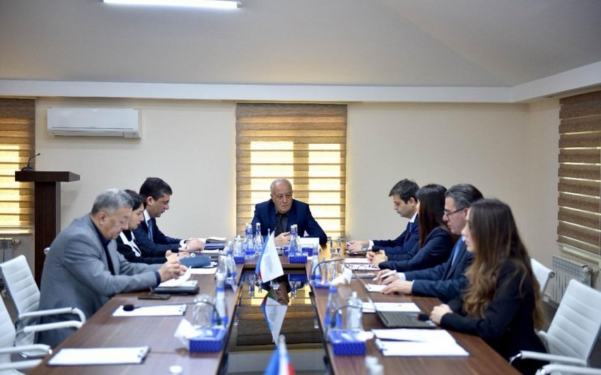 Medianın İnkişafı Agentliyinin rəhbərliyinə yeni təyinat oldu - FOTO