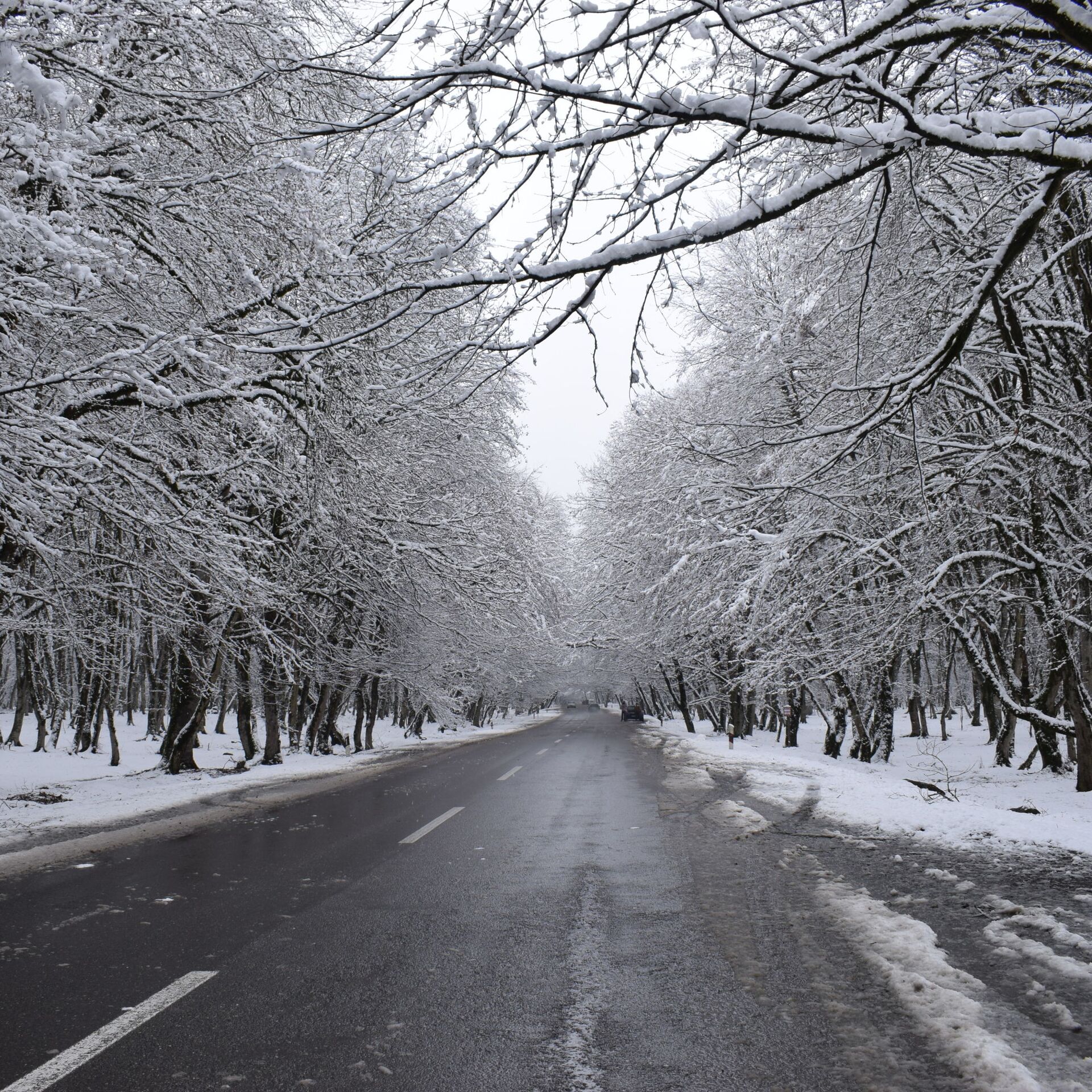 Sabah bu yollar buz bağlayacaq - XƏBƏRDARLIQ