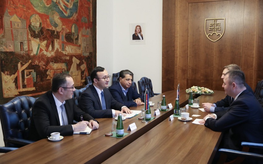 Azərbaycan və Slovakiya çoxtərəfli əməkdaşlığın inkişafını müzakirə etdi