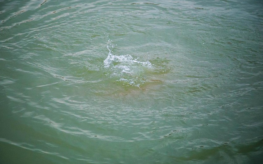 Dekabrda itən 11 yaşlı Rasimin axtarışı davam edir - VİDEO/FOTO