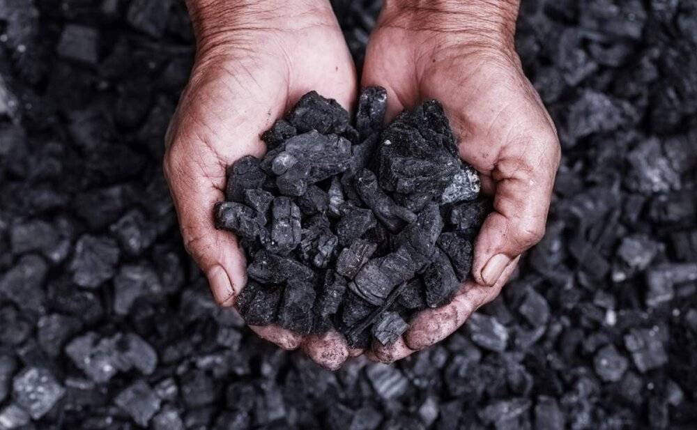 Rusiya Türkiyənin kömür bazarını “işğal” edir