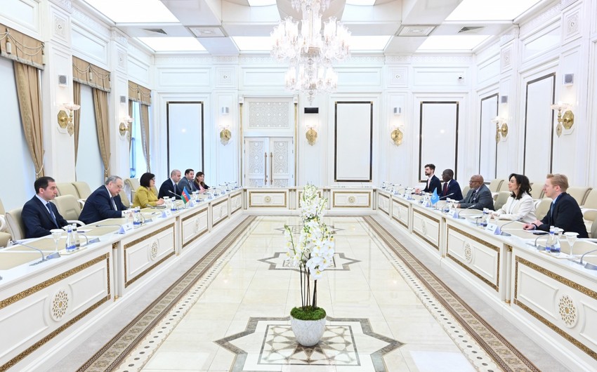 BMT Azərbaycanın regionda sülhün təmin olunması üçün səylərini TƏQDİR ETDİ - FOTO