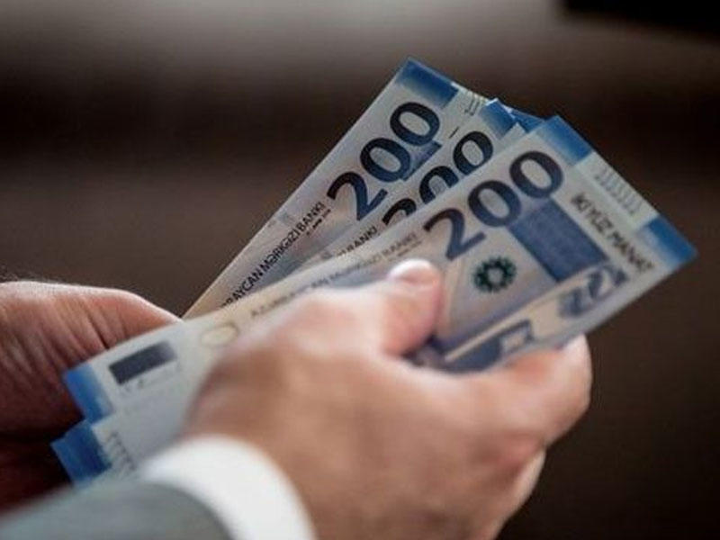 Bələdiyyələr pulu daha çox nəyə xərcləyir? – STATİSTİKA