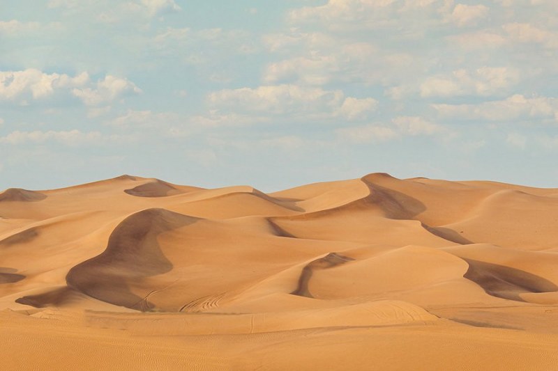 Dünyanın ən isti səhrasının altında gizli ekosistem aşkar edildi