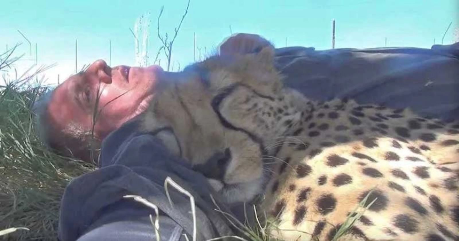 Leopardla fotoqrafın bu görüntüləri viral oldu - FOTOLAR