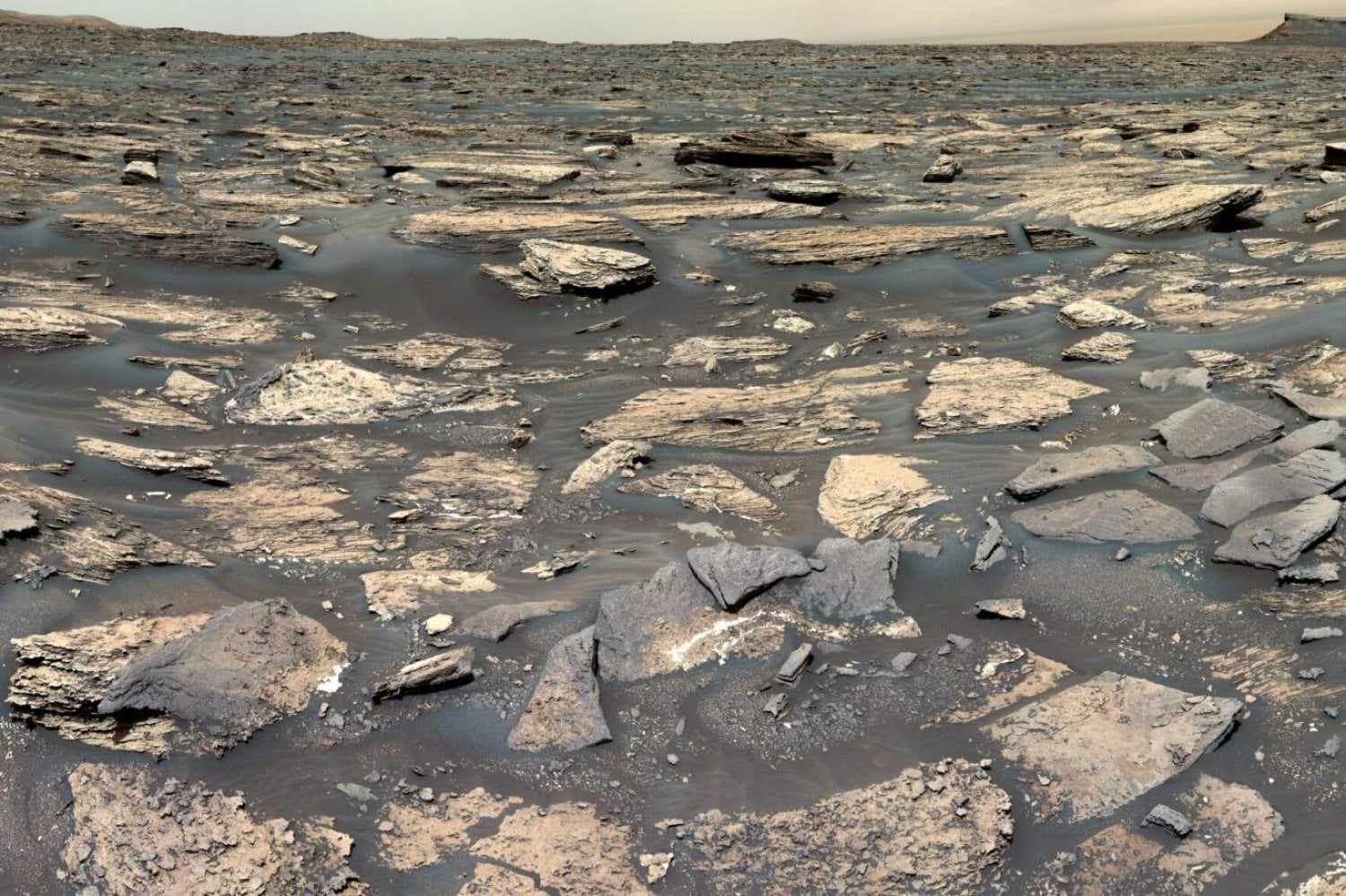 NASA Marsda yaşayışın olduğuna dair YENİ SÜBUT TAPDI