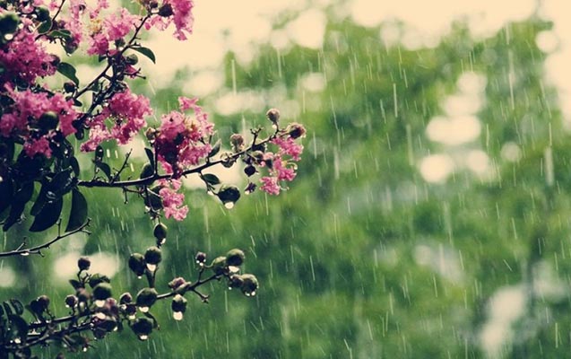 Yağış, dolu, sulu qar... - Faktiki hava AÇIQLANDI