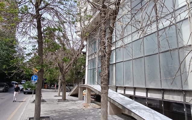 Yaşayış binalarının qarşısındakı ağaclar "quruyur": Təbii hadisə, yoxsa ticarət?
