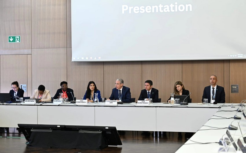 COP29 prezidenti Rusiya və Türkiyə nümayəndələri ilə GÖRÜŞDÜ