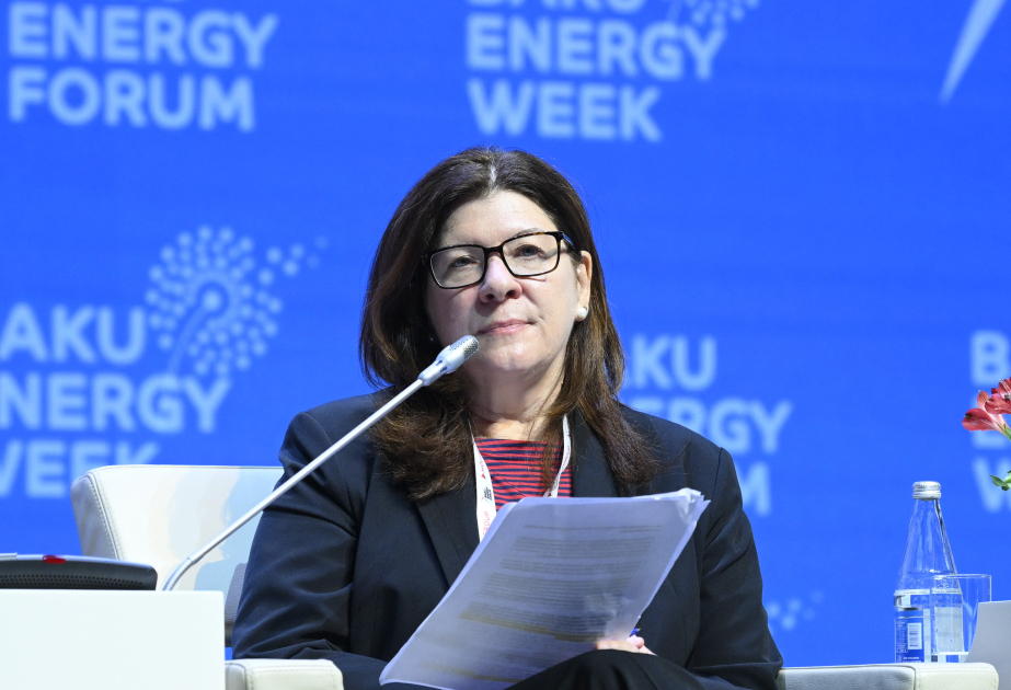 Mərkəz COP29 ilə bağlı gözləntilərini açıqlandı