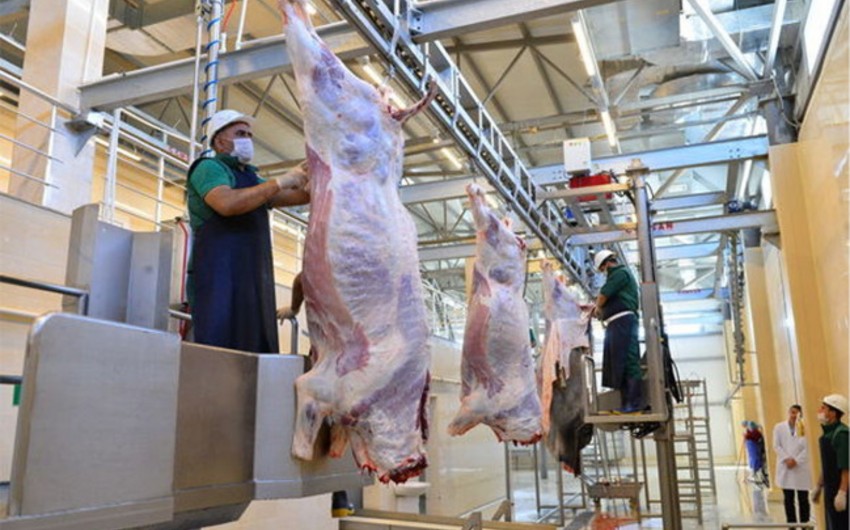 Qurban bayramına görə heyvan kəsimi və satışı məntəqələrində monitorinqlər KEÇİRİLİR
