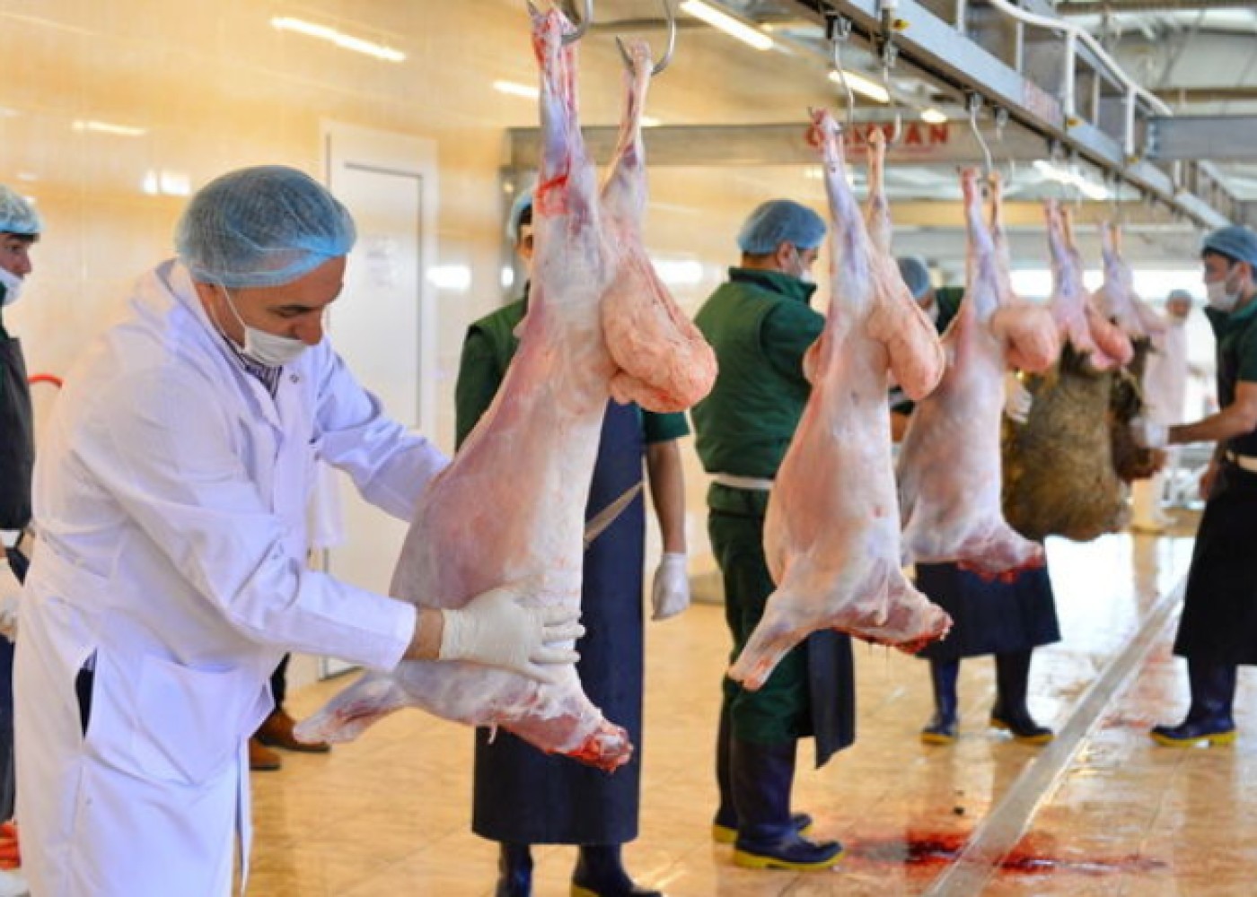 Bayramda heyvanların satışı və kəsimi ÜNVANLARI