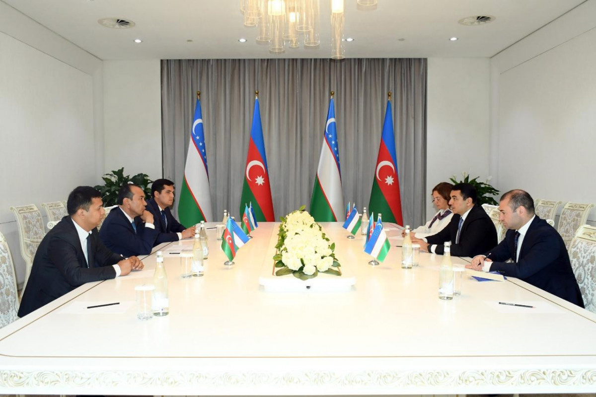 Azərbaycan və Özbəkistanın mədəniyyət nazirləri Daşkənddə GÖRÜŞDÜ