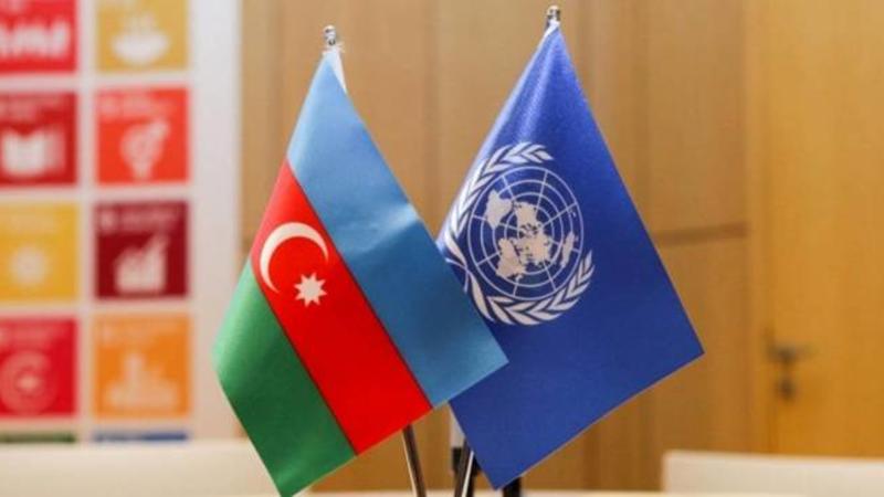 Azərbaycanın NATO ilə tərəfdaşlığının perspektivləri MÜZAKİRƏ EDİLDİ