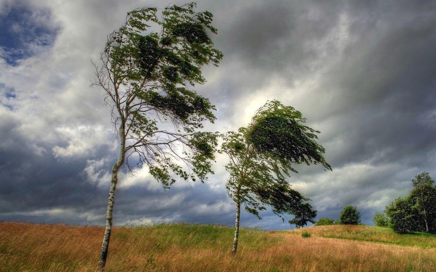 Hidrometeorologiya Xidməti: \