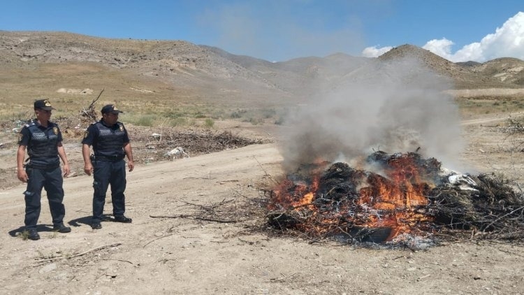 Naxçıvan polisi əməliyyat keçirdi