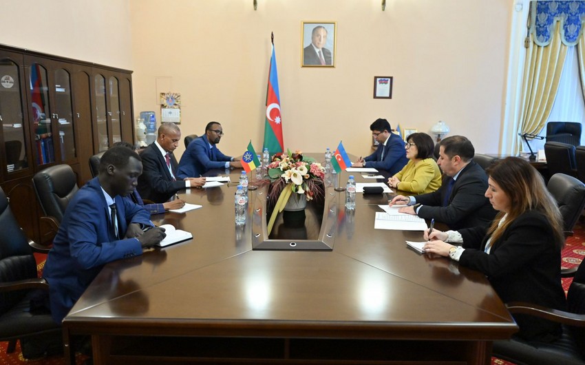 Sahibə Qafarova həmkarları ilə əməkdaşlıq məsələlərini müzakirə etdi - FOTO