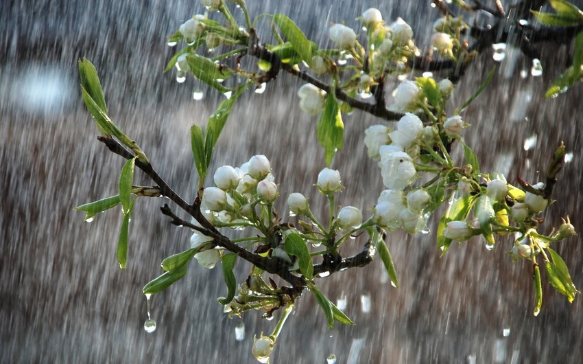 Bölgələrdə yağıntılı hava şəraiti davam edir – FAKTİKİ HAVA