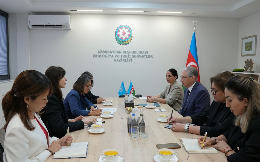 Muxtar Babayev BMT rəsmisi ilə COP29-a hazırlığı MÜZAKİRƏ ETDİ