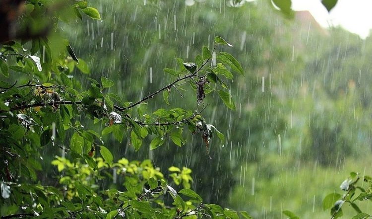 Leysan, dolu, sel... - Azərbaycanda bu tarixdən hava KƏSKİN DƏYİŞİR!