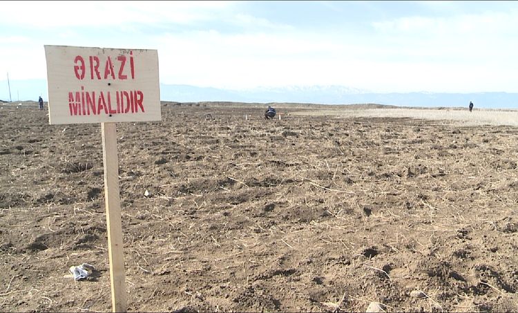 Füzulinin azad olunan 21 kəndindən 41 min mina AŞKAR EDİLDİ