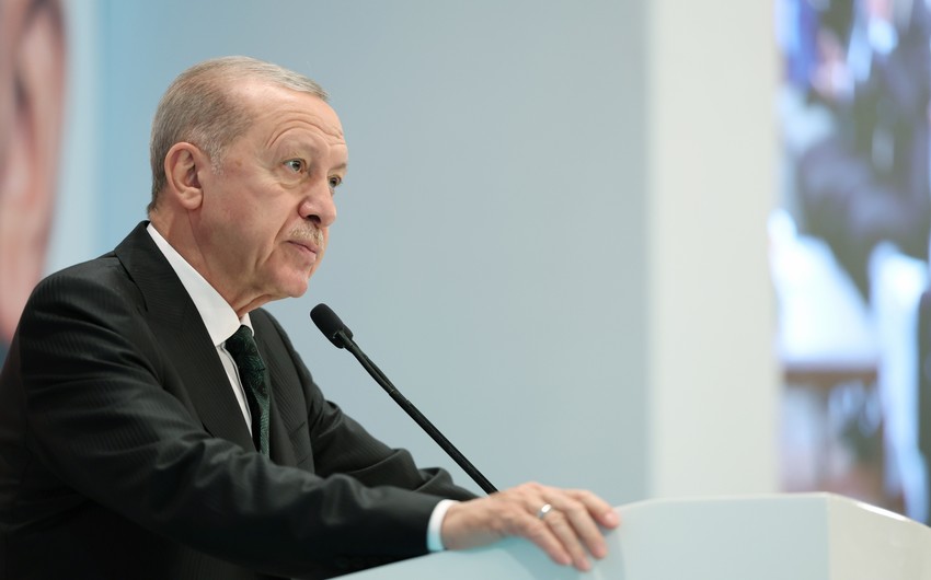 Ərdoğan: "Türkiyə sabitlik hökm sürən nadir dövlətlərdəndir"