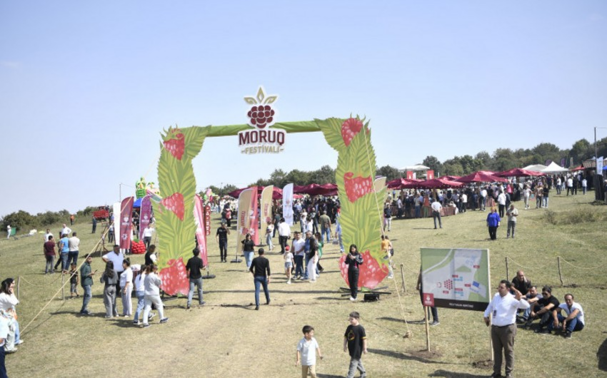 
Azərbaycanda ilk dəfə “Moruq Festivalı” keçirilir -FOTO