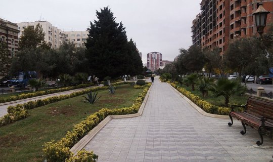 Bakıda parkdan meyit tapıldı