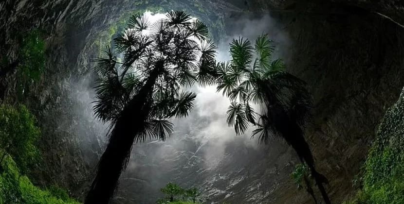 Çində cəhənnəm çuxurunda sirli meşə aşkar edildi - FOTO